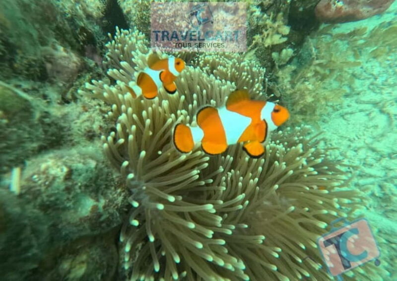 PORT BARTON: Full-day Shared Island Hopping Tour A - What to Expect