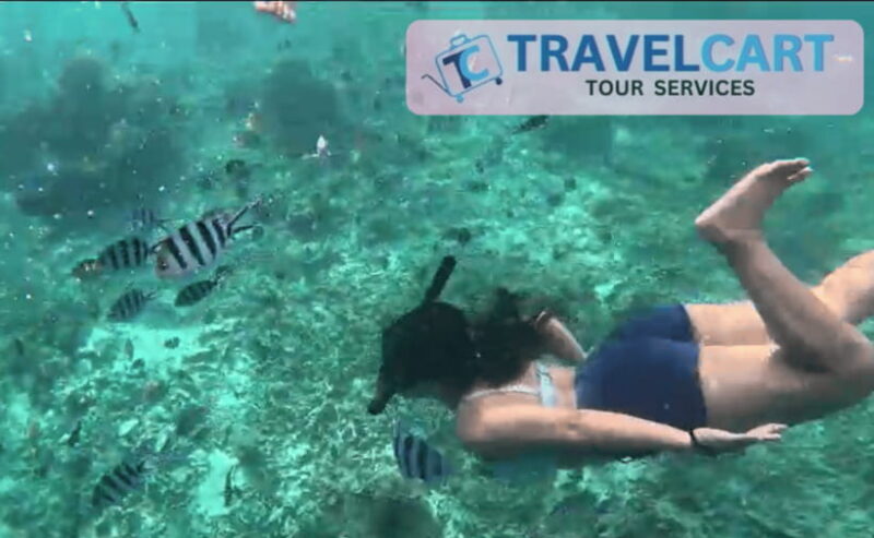 PORT BARTON: Full-day Shared Island Hopping Tour A - The Real Traveler Experience