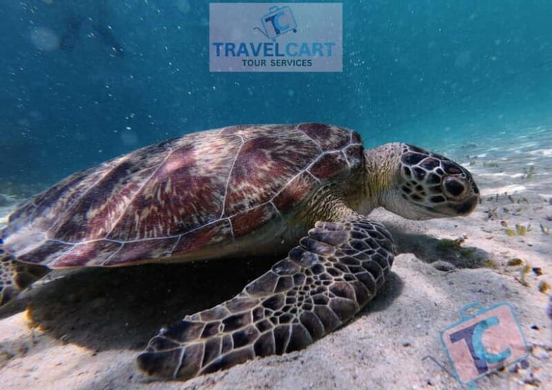 PORT BARTON: Full-day Shared Island Hopping Tour A - Getting Ready for Your Day Out