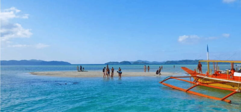 Port Barton: Island Hopping to Turtle Spot & Reef with Lunch - Good To Know