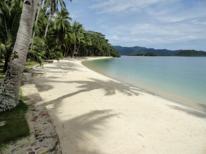 Port Barton: Island Hopping to Turtle Spot & Reefs - Directions