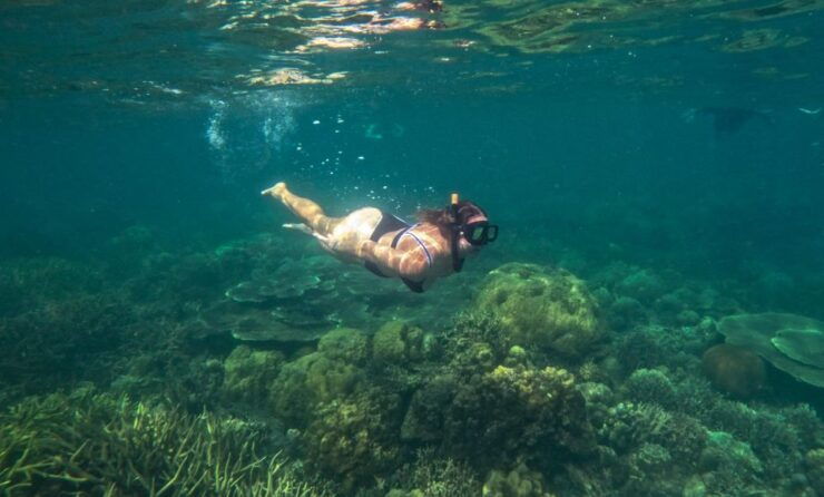 Port Barton: Private Highlights Tour. W/ Island Lunch - Tour Inclusions