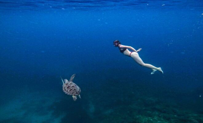 Port Barton: Private Highlights Tour. W/ Island Lunch - Highlights of the Experience