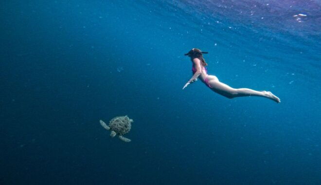 Port Barton: Private Highlights Tour. W/ Island Lunch - Environmental Conservation