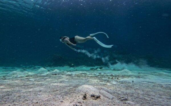 Port Barton: Private Highlights Tour. W/ Island Lunch - The Sum Up