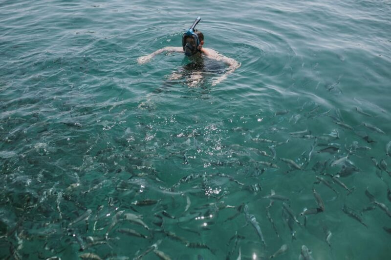 Port Bunarina: Private Boat Trip with Optional Lunch - Practical Details and Tips