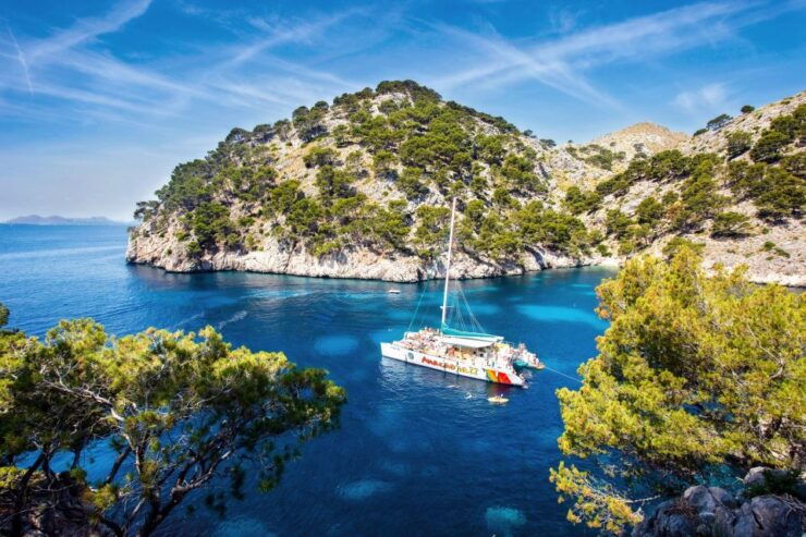 Port D'alcudia: North Coast Catamaran Cruise With Meal - Experience Highlights