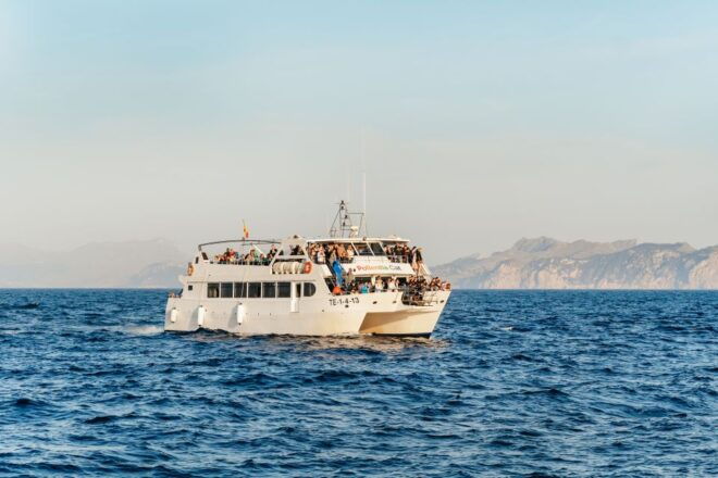 Port Dalcudia: Sunrise at Sea & Dolphin Watching Boat Tour - Inclusions