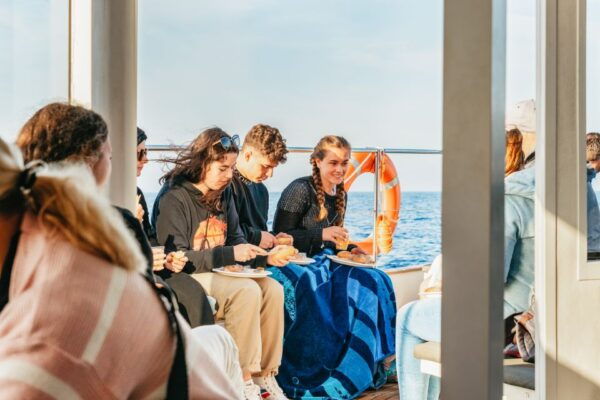 Port Dalcudia: Sunrise at Sea & Dolphin Watching Boat Tour - Important Information