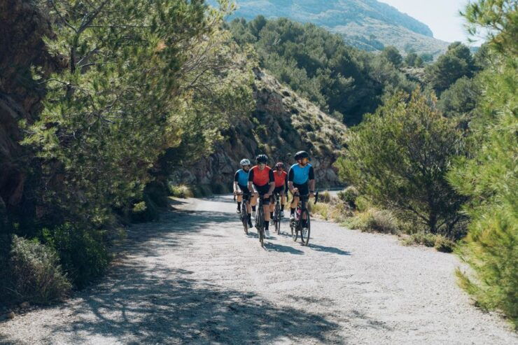 Port De Pollença: Ultimate Bike Rental - Activity Details