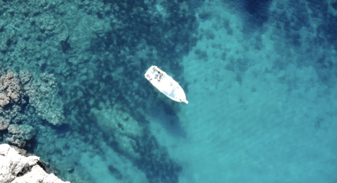 Port De Sóller: Snorkeling Tour With Professional Guide - Experience Highlights