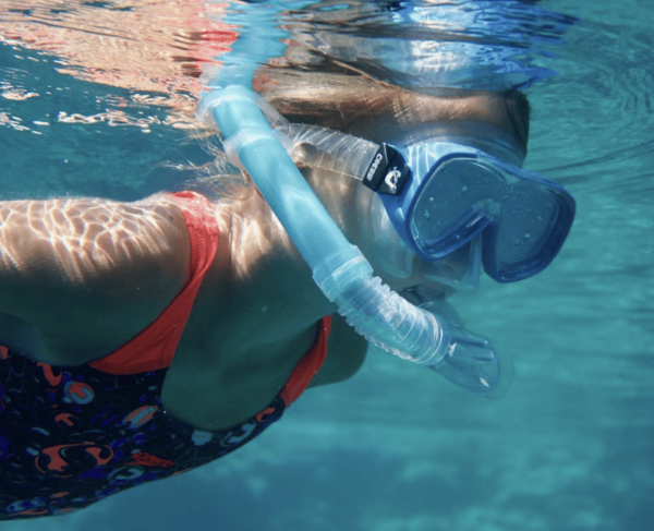 Port De Sóller: Snorkeling Tour With Professional Guide - Meeting Point and Transportation