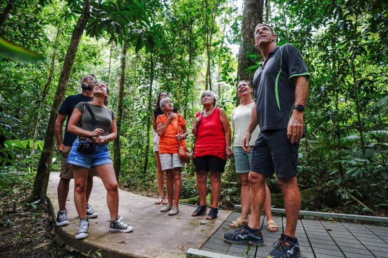 Port Douglas: Best of Daintree Rainforest Day Tour - Good To Know