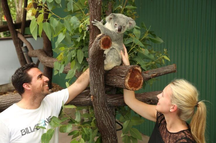 Port Douglas: Breakfast With the Birds - Booking Details