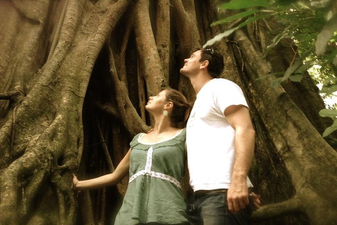 Port Douglas Daintree National Park Boutique Full-Day Tour - Additional Information