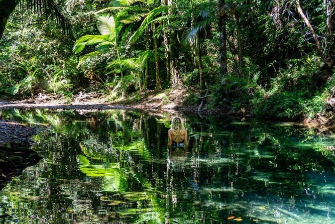 Port Douglas Daintree National Park Boutique Full-Day Tour - Directions