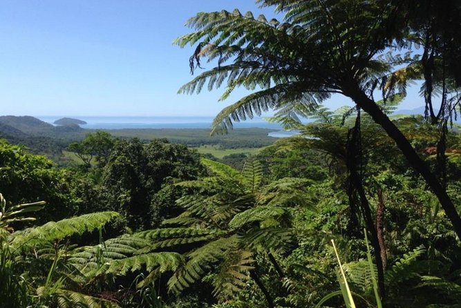 Port Douglas Daintree National Park Boutique Full-Day Tour - The Sum Up