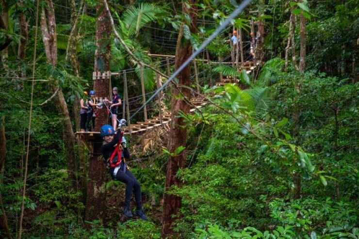 Port Douglas: Daintree National Park Ziplining & Cruise - Activity Details