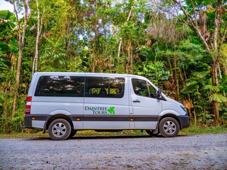 Port Douglas: Daintree Rainforest and Mossman Gorge Tour - Tour Experience