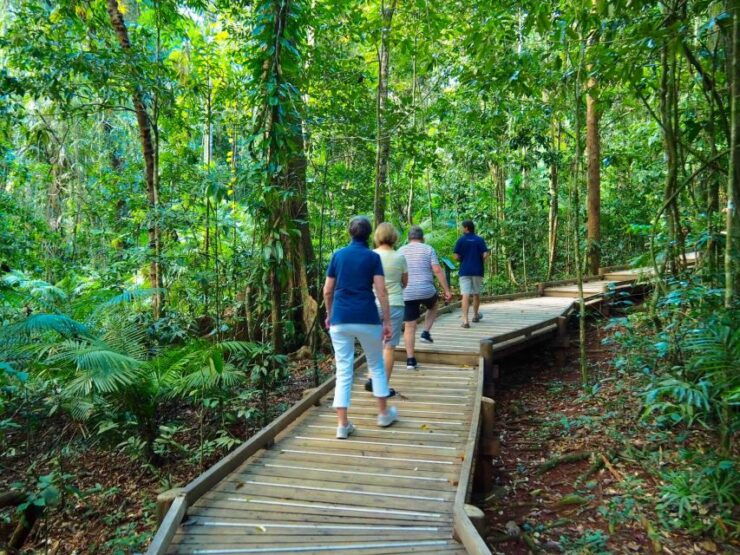 Port Douglas: Daintree Rainforest Canopy Ziplining Tour - Booking Information