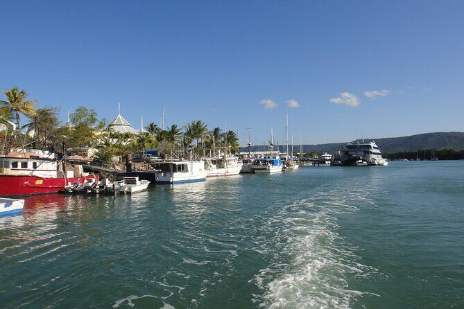 Port Douglas Day Tour from Cairns - Good To Know