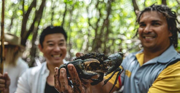 Port Douglas: Full Day Daintree Cultural Tour With Lunch - Booking Details