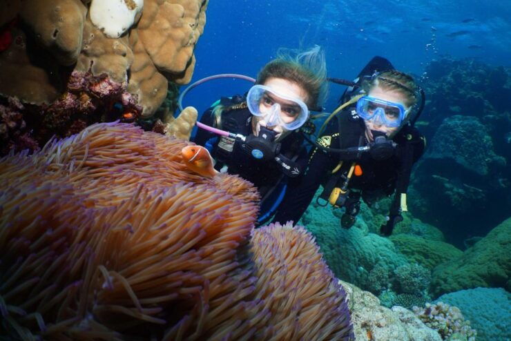 Port Douglas: Full-Day Outer Barrier Reef Dive and Snorkel - Experience Highlights