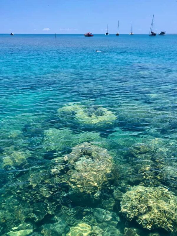 Port Douglas: Half-Day Low Island and Lagoon Snorkeling Tour - Introduction: What to Expect from the Low Isles Snorkeling Tour