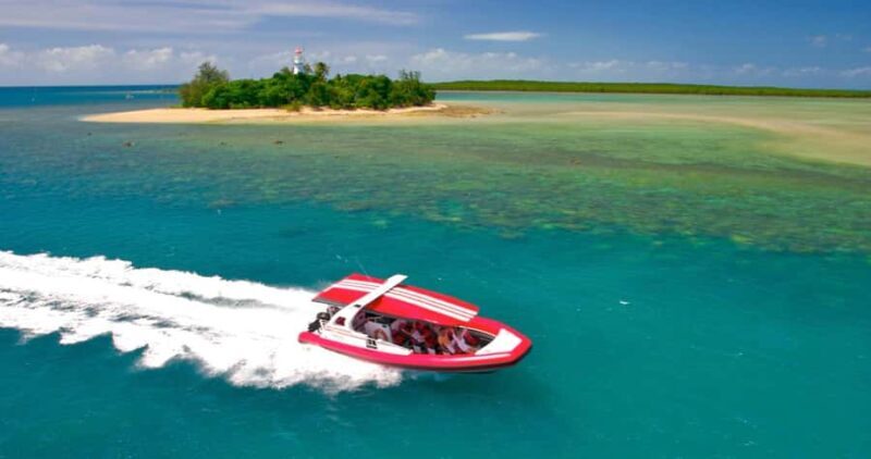 Port Douglas: Half-Day Low Island and Lagoon Snorkeling Tour - What Makes This Tour Stand Out