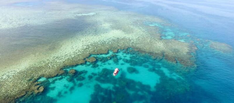 Port Douglas: Half Day Outer Reef Snorkelling Tour - Introduction: A Quick Reef Escape