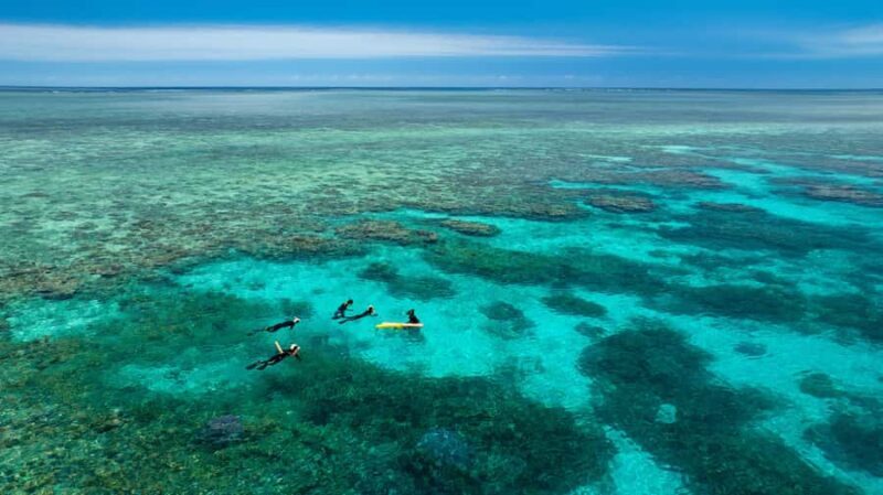 Port Douglas: Just 12 Passengers Guided Snorkel Reef Cruise - An Overview of the Experience