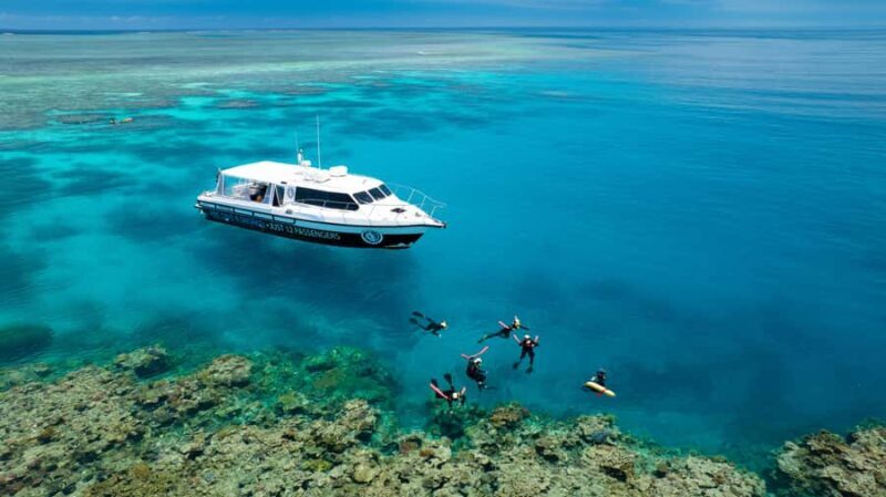 Port Douglas: Just 12 Passengers Guided Snorkel Reef Cruise - The Coral Gardens and Marine Encounters