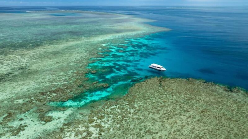 Port Douglas: Just 12 Passengers Guided Snorkel Reef Cruise - How Does It Compare?