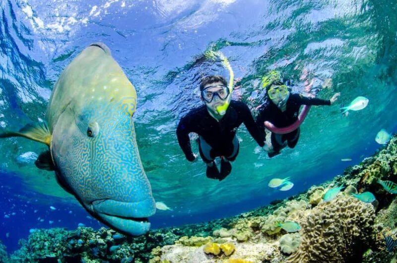 Port Douglas: Just 12 Passengers Guided Snorkel Reef Cruise - Is It Worth the Price?