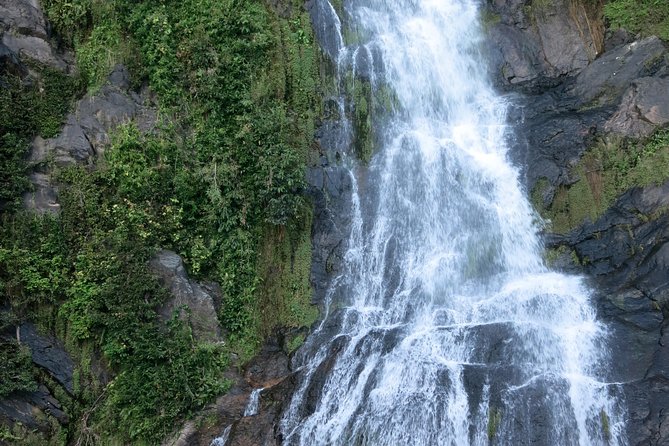Port Douglas: Kuranda Day Tour With Skyrail Rainforest Cableway and Scenic Train - Great Day With Family
