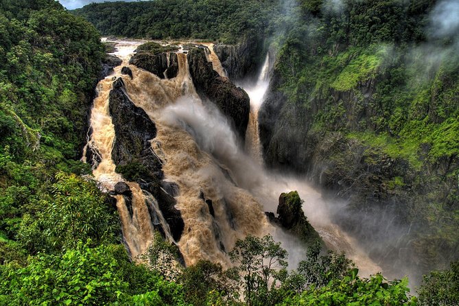 Port Douglas: Kuranda Day Tour With Skyrail Rainforest Cableway and Scenic Train - Highly Recommended Tour