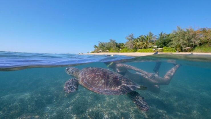 Port Douglas: Low Isles Glass Bottom Boat & Snorkeling Tour - Booking Flexibility