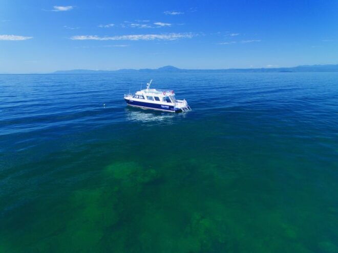 Port Douglas: Low Isles Glass Bottom Boat & Snorkeling Tour - Full Description