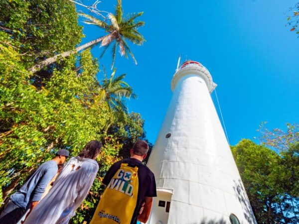 Port Douglas: Low Isles Glass Bottom Boat & Snorkeling Tour - Positive Customer Feedback