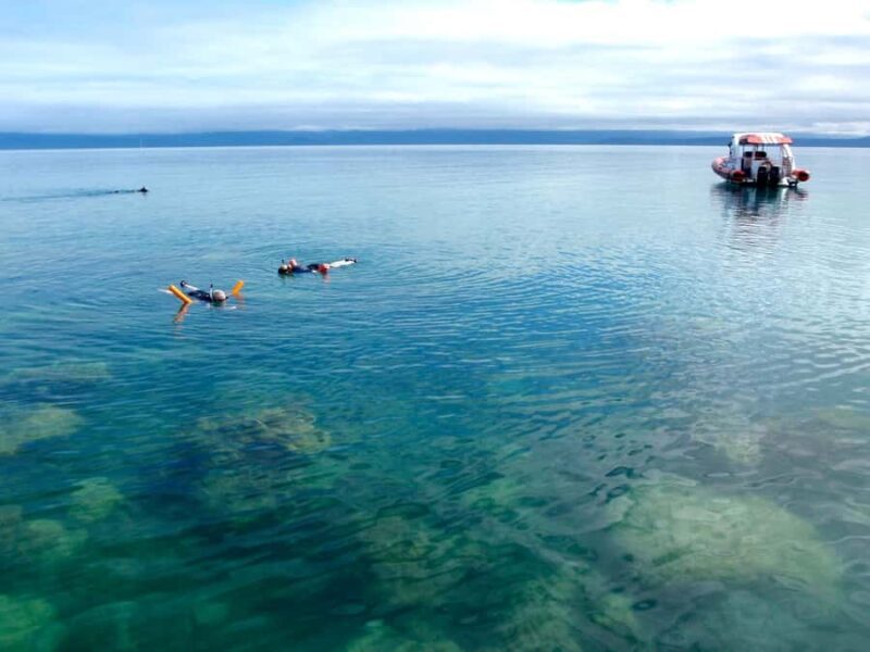 Port Douglas: Low Isles Reef Snorkeling Tour - The Sum Up