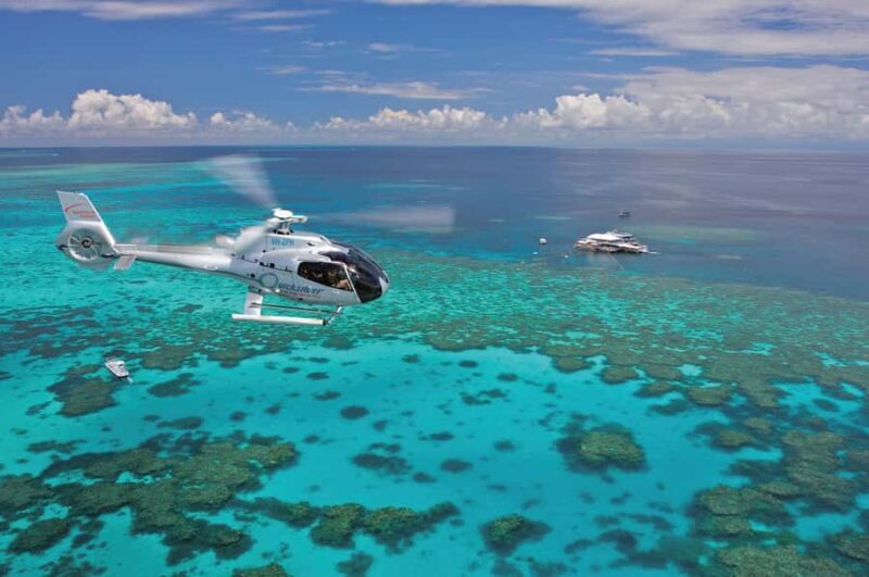 Port Douglas: Outer Barrier Reef Cruise & 10 Min Helicopter - Good To Know
