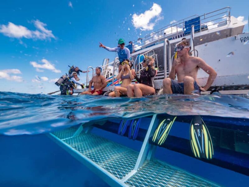 Port Douglas: Outer Barrier Reef Snorkel and Dive Options - FAQ