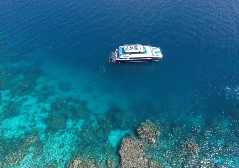 Port Douglas: Outer Barrier Reef Snorkel and Dive Options - Final Thoughts