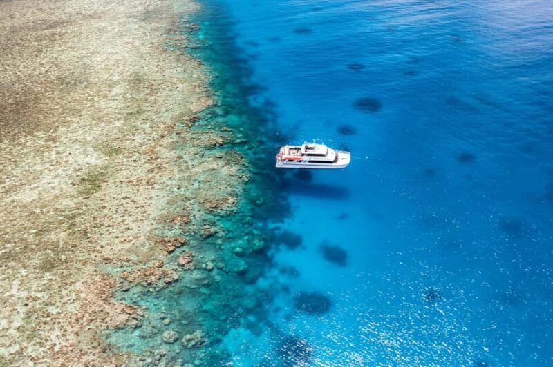 Port Douglas: Poseidon Outer Barrier Reef Dive and Snorkel - Good To Know