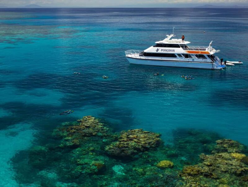 Port Douglas: Poseidon Outer Barrier Reef Dive and Snorkel - Final Thoughts: Who Is This Tour Perfect For?