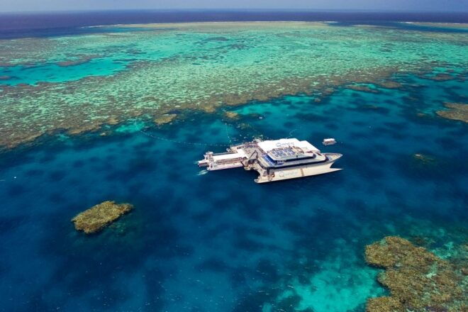 Port Douglas: Quicksilver Outer Barrier Reef Full-Day Cruise - Pricing and Options