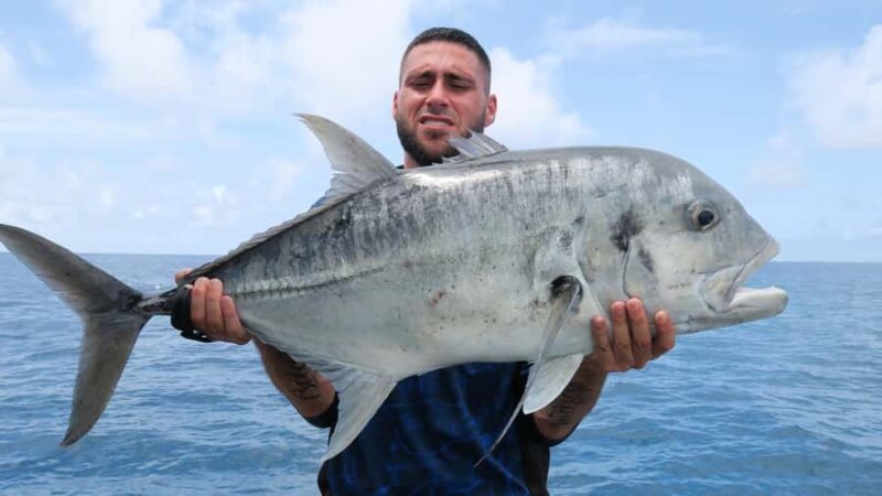 Port Douglas: Reef & Estuary Sportfishing Charters - Who Will Love This Tour?