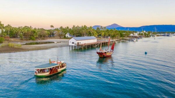 Port Douglas River Cruise, Crocodile Spotting, Drink & Snack - Explore the Mangrove Forests and Rainforest Mountains