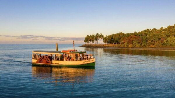 Port Douglas River Cruise, Crocodile Spotting, Drink & Snack - Learn About Port Douglass History and Flora & Fauna