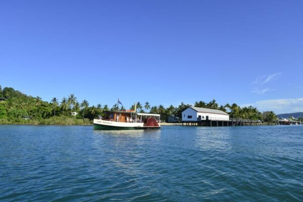 Port Douglas River Cruise, Crocodile Spotting, Drink & Snack - Reviews and Additional Details